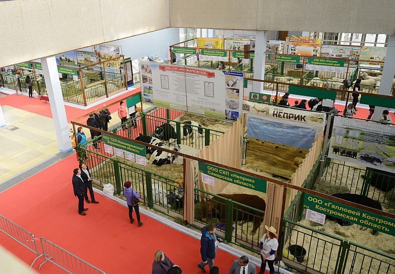The delegation of the Smolensk region has held a number of meetings within the Russian agricultural exhibition Golden Autumn