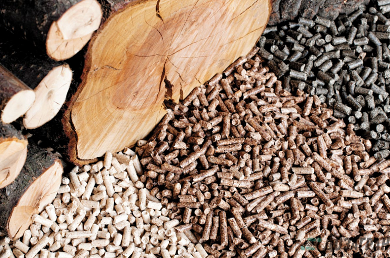 New Modern Facility to Produce Wood Fuel Pellets Has Been Launched in the Smolensk Region