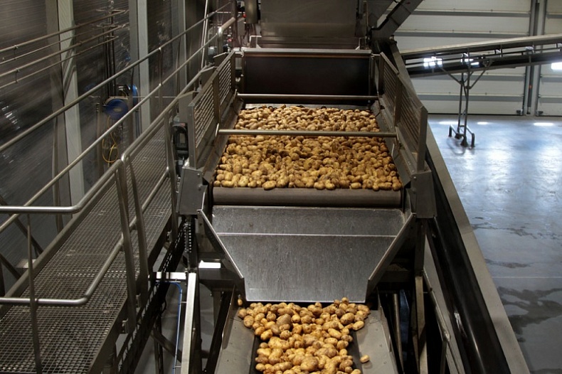«Белая Дача» готова закупать картофель у смоленских фермеров